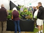 AFS 2016 18.JPG
